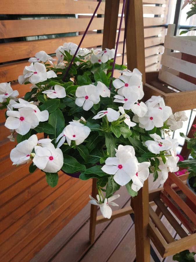 Bed and Breakfast La Terrazza Di Carolina Agrigento Exterior foto